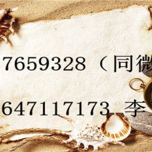 廣告代理業務 品牌與市場的橋梁